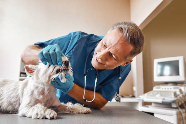 Best Emergency Tooth Extraction in Albion, IL